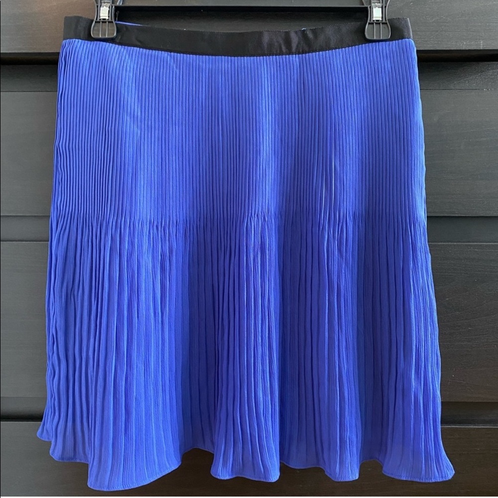 Elegant Pleated Skirt.